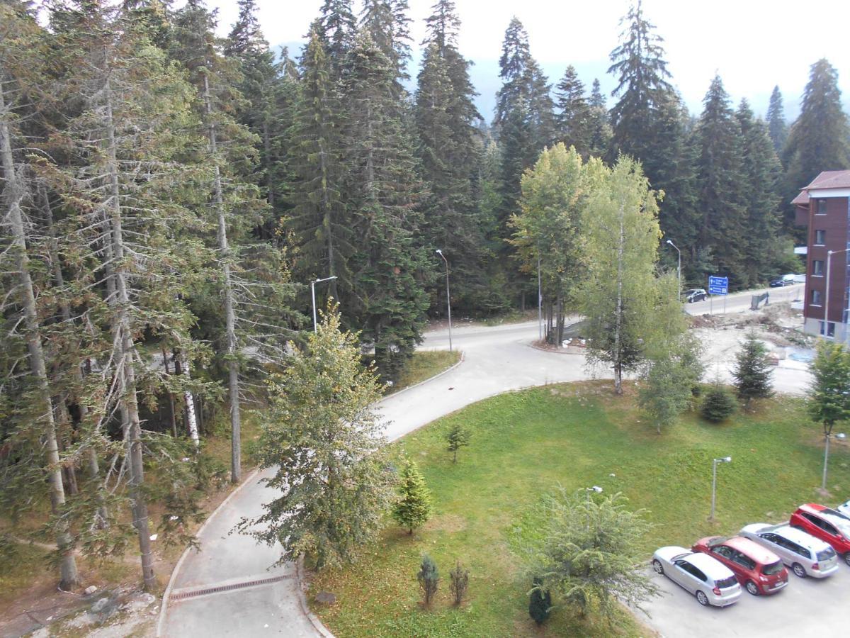 Valentina'S Studio In "Borovets Gardens" Hotel Ngoại thất bức ảnh